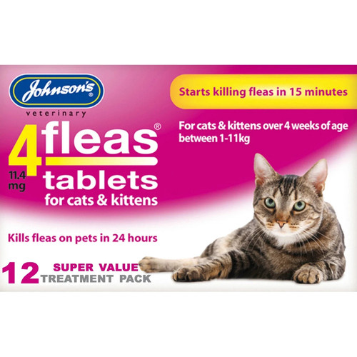 Cat flea dog - cat,