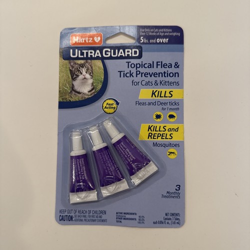 Flea treatment medicine - flea,