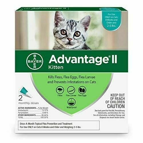Advantage 86335417 kitten - 86335417,