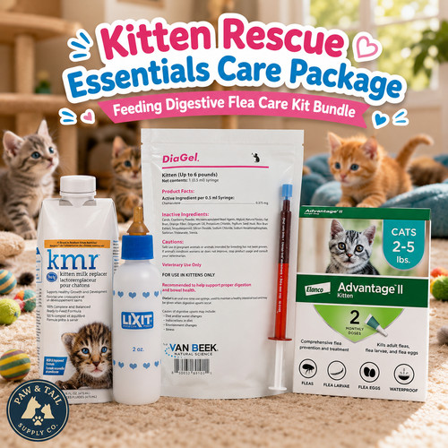 Kitten rescue essentials care - kitten,