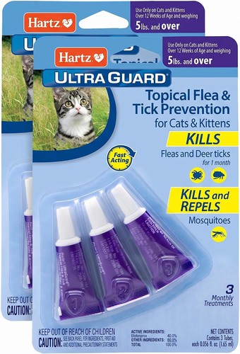 Flea tick prevention cats - prevention,