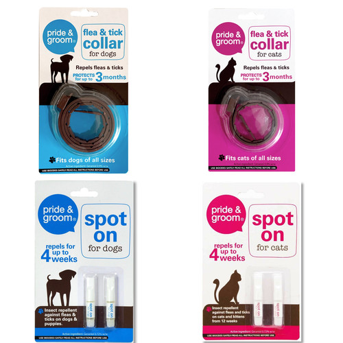 Dog cat spot - dog,