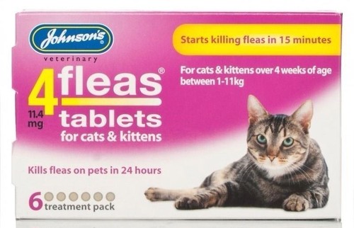 Johnsons 4flea cat - johnsons, kitten
