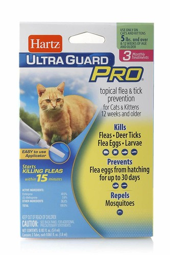 Cat flea and tick prevention - cat,