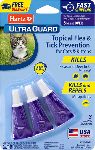 Flea treatment medicine - treatment,