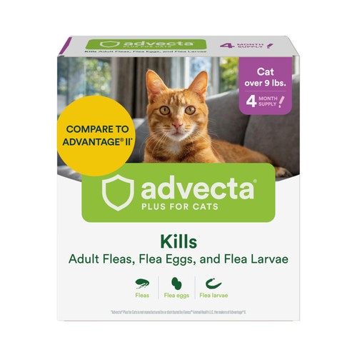 Advecta plus topical large - plus,
