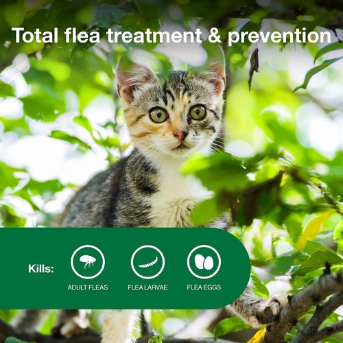 Advantage kitten flea - kitten,