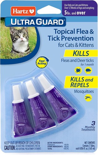 Flea treatment medicine - treatment,
