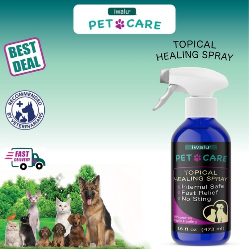Flea treatment for kittens - treatment,