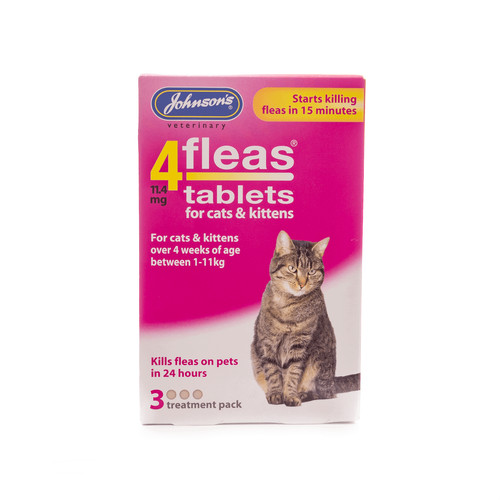 Cat flea treatment - cat,