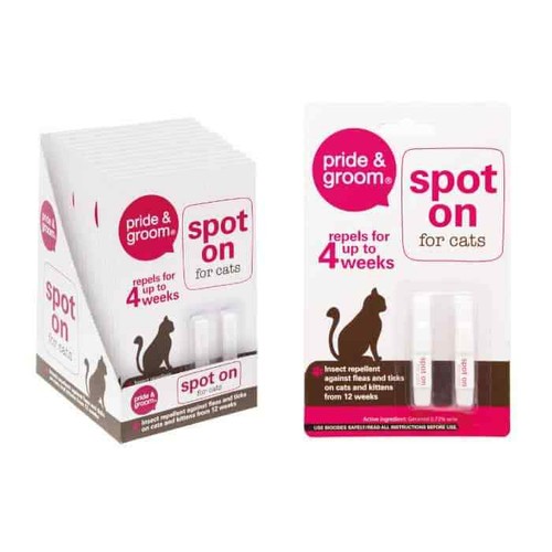 Flea treatment cat kitten - flea,