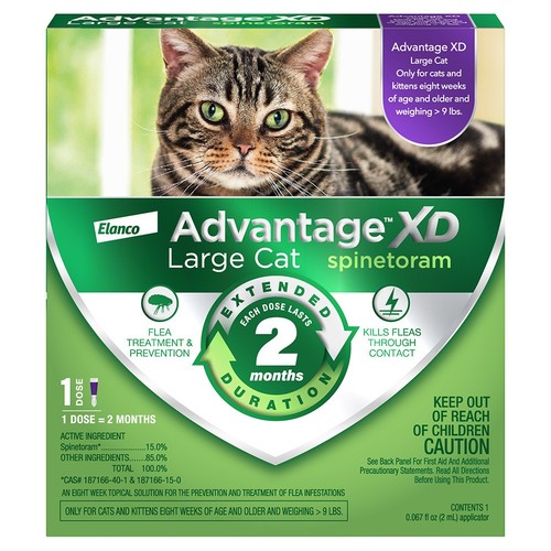 Advantage topical dose 2 - xd, 1-topical