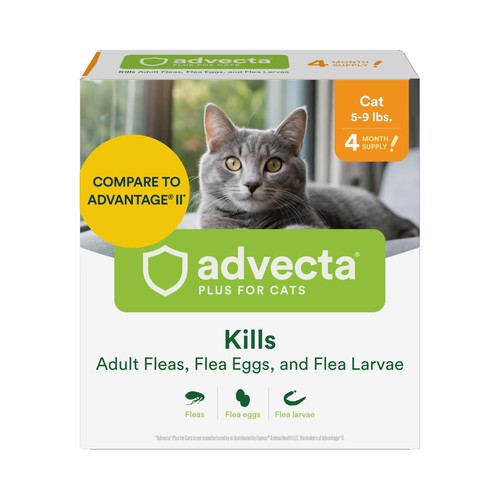 Flea treatment for - for, cats